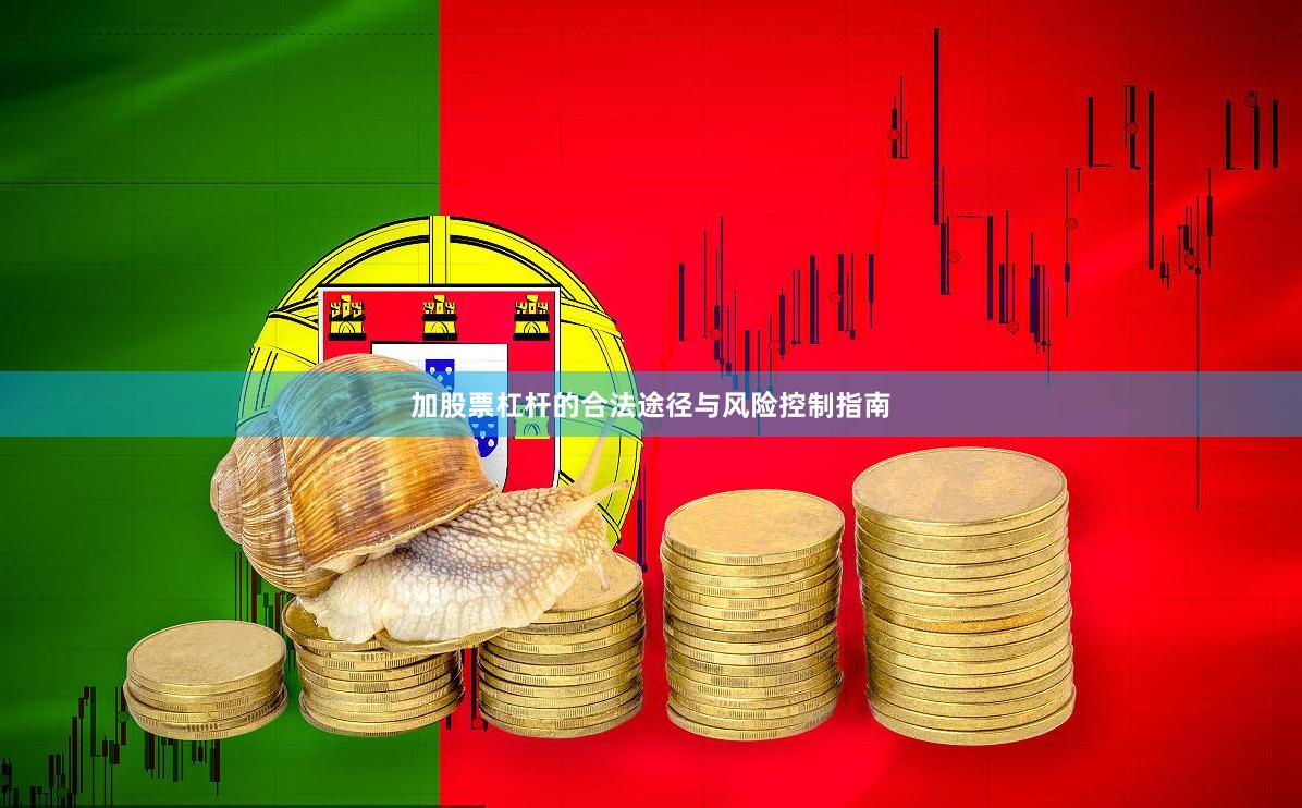 加股票杠杆的合法途径与风险控制指南