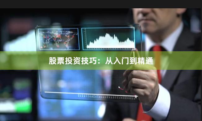 股票投资技巧：从入门到精通
