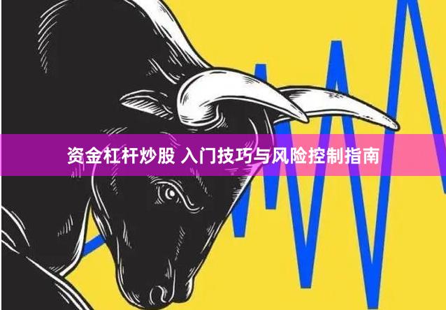 资金杠杆炒股 入门技巧与风险控制指南